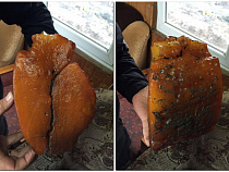 В Калининградской области найден янтарь весом 2 кг 700 грамм