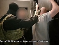 Мошенничавший директор крупно гадил всему Калининграду