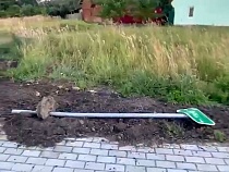 На новом веломаршруте в Правдинском районе уже сломали дорожный знак