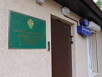 Калининградская областная таможня в 2018 году возбудила 21 уголовное дело