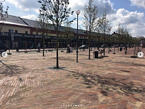 Алиханов: планируем открыть пешеходную зону на улице Профессора Баранова 4 октября