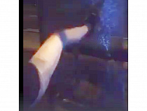 За вандалом-подростком пришли из калининградской полиции (карта)