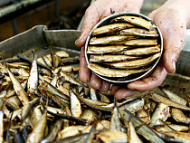 Запрет на ввоз рыбных консервов из Прибалтики не нарушает норм ВТО