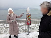 В Зеленоградске чайка продолжает трепать кошельки туристов из Москвы
