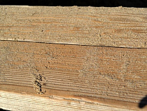 Почти 600 тысяч рублей взыскал калининградец с поставщика лесоматериалов