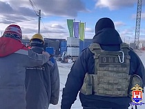 В Калининграде прошли массовые облавы на мигрантов (видео)