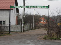 На пожаре в садовом товариществе в Калининграде погибли трое взрослых мужчин