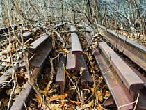 Предпринимательницу из Немана оштрафовали за работу без лицензии