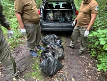 Туристы осквернили мусором национальный парк Виштынецкий