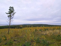 Вид с площадки на Куршской косе на Литву стал стоить 1000 рублей