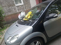 На Московском проспекте жители проучили водителя «Смарта» мусором