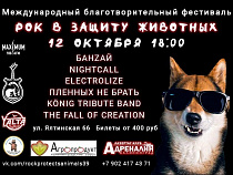 Рокеры зажгут в Калининграде в защиту животных-бомжей