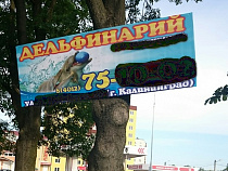 Когда оштрафуют калининградский дельфинарий?