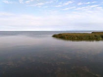 «Лукойлу» разрешили разработку месторождения в 57 км от Куршской косы   