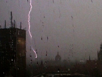 Машины в Калининградской области размозжены деревьями