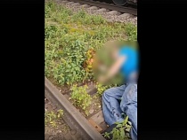 «Было по барабану»: на окраине Калининграда поезд сбил мужчину 