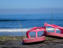 Бюджет летней оздоровительной кампании в 2016 году составит 561 млн рублей