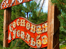 Из «Сосновой усадьбы» с подозрением на кишечную инфекцию госпитализированы 13 пенсионеров 