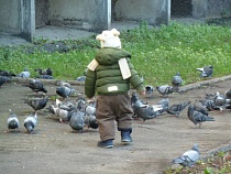 Роспотребнадзор: в Калининградской области растёт число детей, заболевших коклюшем