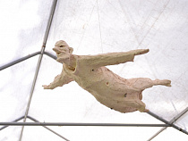 «Пленный дух»: первый совместный проект Музея И. Канта и Дома-музея Германа Брахерта