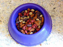 Предприниматель из Зеленоградска оштрафована за отсутствие маркировки на пакетах с кормами для животных