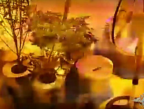 Появилось видео из притона и мини-плантации конопли (видео)