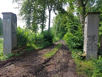 Общественники назвали «чёрных лесорубов» диверсантами