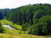 На президентский грант в Краснолесье открыли смотровую площадку (фото)
