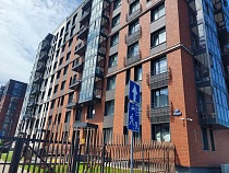 В доме для артистов и преподавателей в Калининграде пытают собаку 