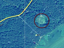 Найдено место вменяемой Анатолию Калине вырубки на Куршской косе