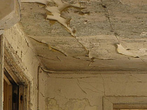 За грибок и плесень в квартире калининградка отсудила у управляющей компании 120 тысяч рублей