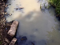 В Калининграде снова запахло гнилью из ручья Лесного