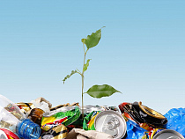 Почти пять тысяч протоколов было составлено в 2014 году на нарушителей санитарного законодательства 