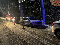 Такси врезалось в дерево по дороге на Зеленоградск 