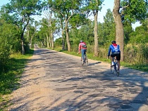 16 апреля на Куршской косе пройдет веломарафон