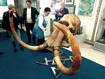 В центр Калининграда подселяют монстра