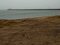 Эколог рассказала о разгуле болезни Лайма и угрозе Куршского залива