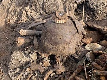 В Калининграде нашли вставную челюсть немецкого пулемётчика