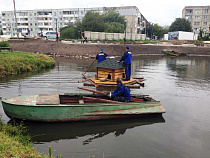  На озёрах Калининграда появятся домики для уток