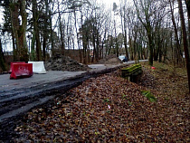 Под Зеленоградском обрушился мост