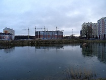 Заводчику ослов разрешили застроить въезд в Зеленоградск 7-этажным домом