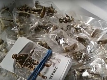 В Калининградской области делают “вежливых людей”, “Искандеры” и танки “Армата” (видео)