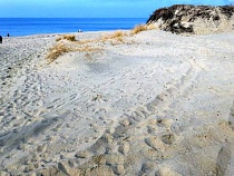 В Балтийске погиб известный писатель из Москвы