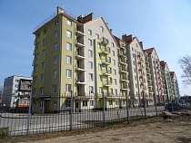 Застройщик добивается исключения земли в Янтарном из лесного фонда