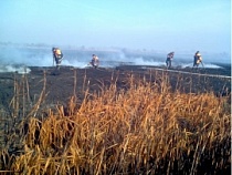 Под Калининградом продолжают тлеть торфяники