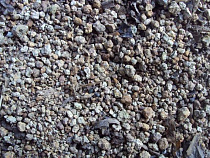 Карелия хочет заместить Норвегию и Швецию на рынке щебня Калининградской области