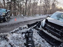 У свалившегося на балтийскую трассу дерева произошло ДТП 
