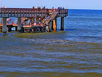 Правительство запретило ввозить в Россию морскую воду и соль из США и ЕС