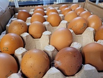 В Калининградской области резко подешевели яйца
