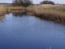 Полицейские взяли человека, который ловил рыбу пауком